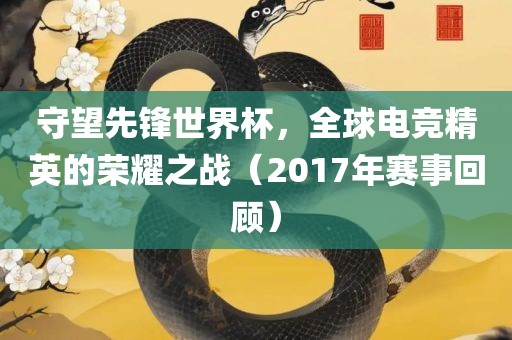 守望先锋世界杯，全球电竞精英的荣耀之战（2017年赛事回顾）常熟市高丰毛纺织品有限公司