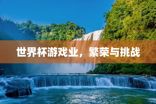 世界常熟市高丰毛纺织品有限公司杯游戏业，繁荣与挑战