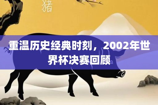 重温历史经典时刻，2002年世界杯决赛回常熟市高丰毛纺织品有限公司顾