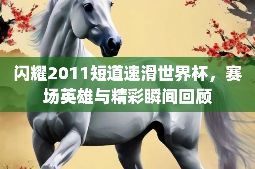 闪耀20常熟市高丰毛纺织品有限公司11短道速滑世界杯，赛场英雄与精彩瞬间回顾