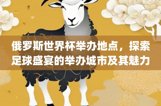 俄罗斯世界杯举办地点，探索足球盛宴的举办城市及其魅力常熟市高丰毛纺织品有限公司