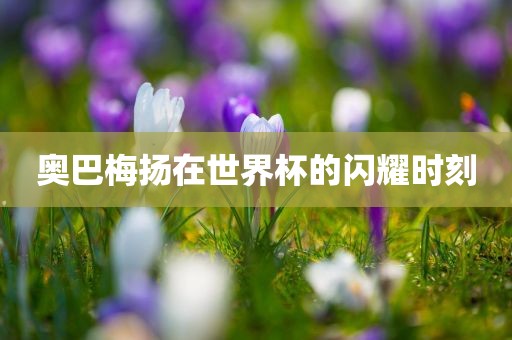 奥巴梅扬在世界杯的闪耀时刻