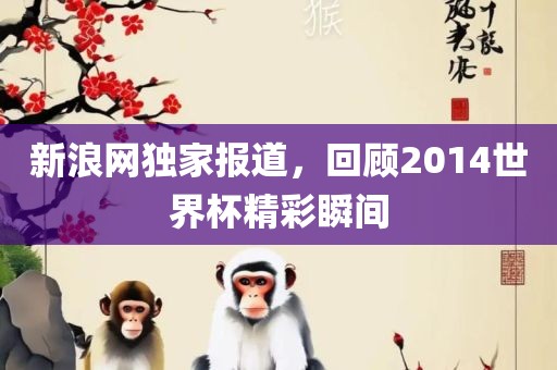 新浪网独家报道，回顾2014世界杯精彩瞬间