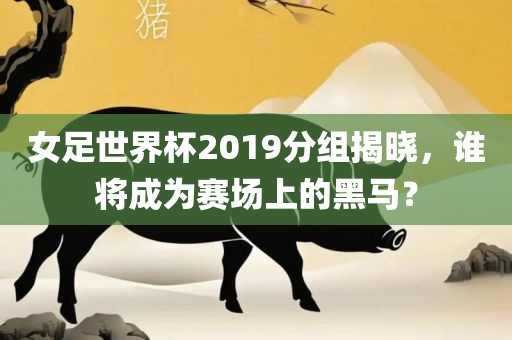 女足世界杯2019分组揭晓，谁将成为赛场上的黑马？