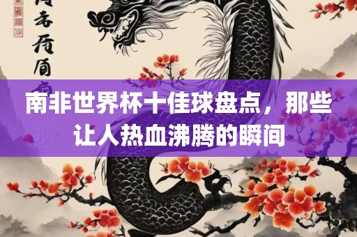 南非世界杯十佳球盘点，那些让人热血沸腾的瞬间常熟市高丰毛纺织品有限公司