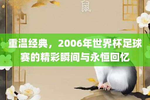 重温经典，2006年世界杯足球赛的精彩瞬间与永恒回忆