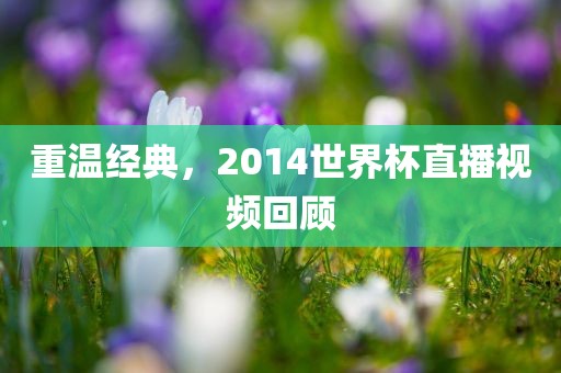重温经典，2014世界杯直播视频回顾