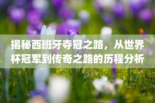揭秘西班牙夺冠之路，从世界杯冠军到传奇之路的历程分析