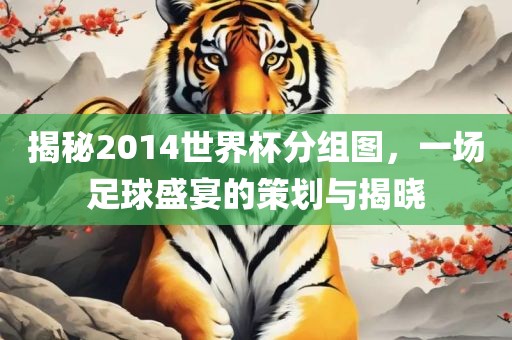 揭秘2014世界杯分组图，一场足球盛宴的策划与揭晓