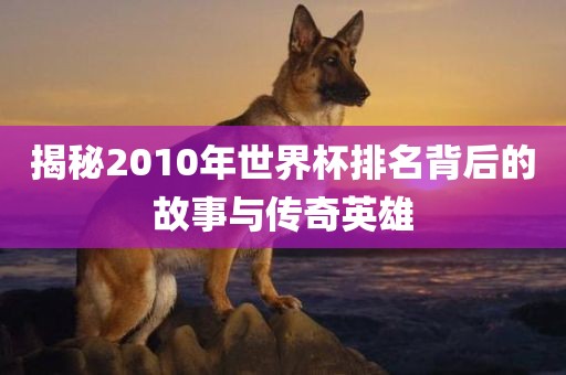 揭秘2010年世界杯排名背后的故事与传奇英雄