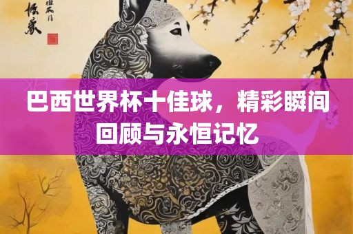 巴西世界杯十佳球，精彩瞬间回顾与永恒记忆