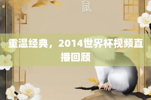 重温经典，2014世界杯视频直播回顾