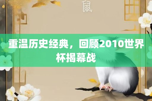 重温历史经典，回顾2010世界杯揭幕战