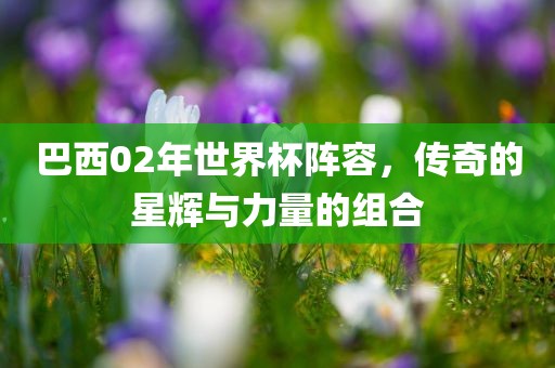 巴西02年世界杯阵容，传奇的星辉与力量的组合常熟市高丰毛纺织品有限公司