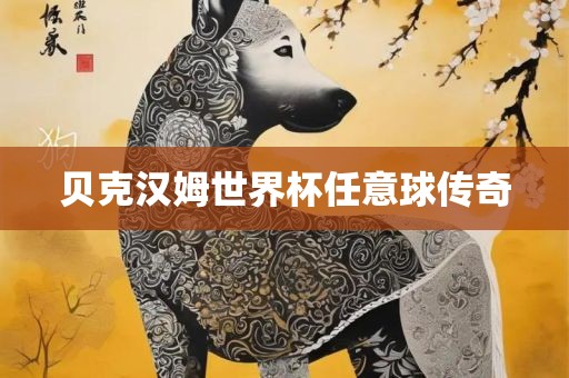 贝克汉姆世界杯任意球传奇常熟市高丰毛纺织品有限公司