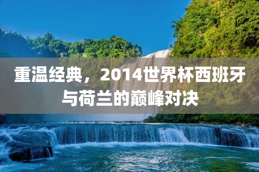 重温经典，2014世界杯西班牙与荷兰的巅峰对决常熟市高丰毛纺织品有限公司