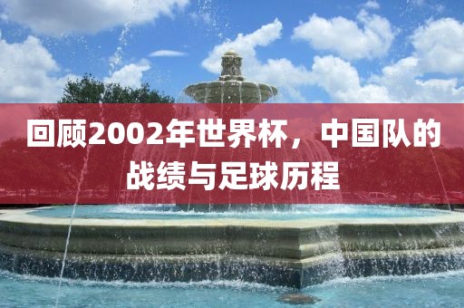 回顾2002年世界杯，中国队的战绩与足球历程常熟市高丰毛纺织品有限公司