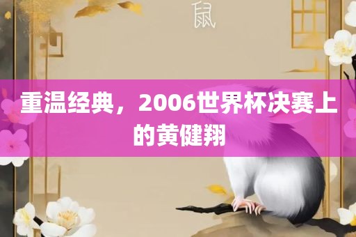 重温经典，2006世界杯决赛上的黄健翔