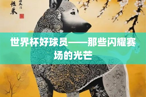 世界杯好球员——那些闪耀赛场的光芒