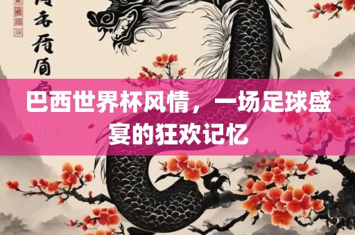 巴西世界杯风情，一场足球盛宴的狂欢记忆