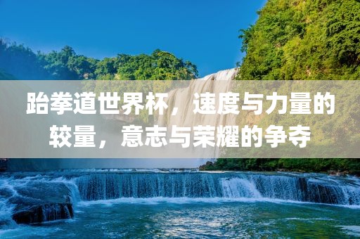 跆拳道世界杯，速度与力量的较量，意志与荣耀的争夺