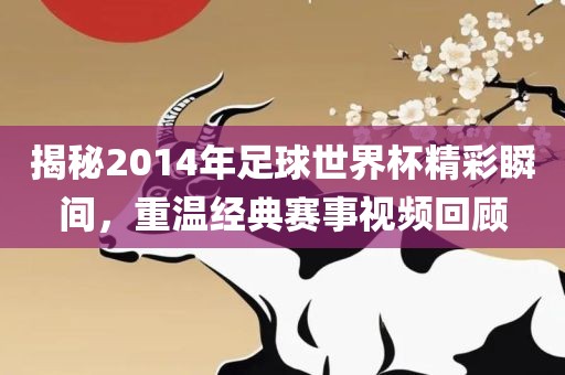 揭秘2014年足球世界杯精彩瞬间，重温经典赛事视频回顾