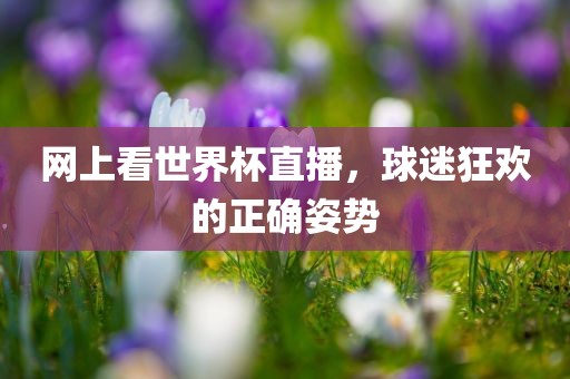 网上看世界杯直播，球迷狂欢的正确姿势