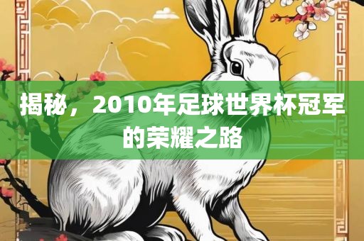 揭秘，2010年足球世界杯冠军的荣耀之路