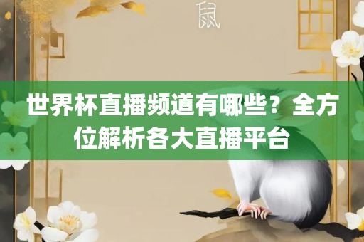世界杯直播频道有哪些？全方位解析各大直播平台