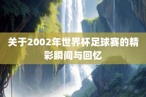 关于2002年世界杯足球赛的精彩瞬间与回忆常熟市高丰毛纺织品有限公司