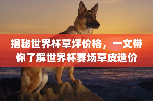 揭秘世界杯草坪价格，一文带你了解世界杯赛场草皮造价