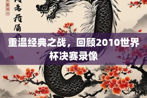 重温经典之战，回顾2010世界杯决赛录像
