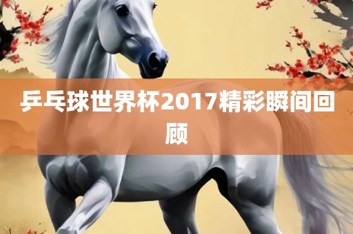 乒乓球世界杯2017精彩瞬间回顾