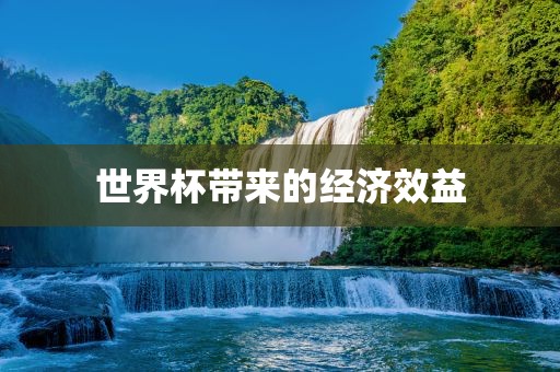 世界杯带来的经济效益