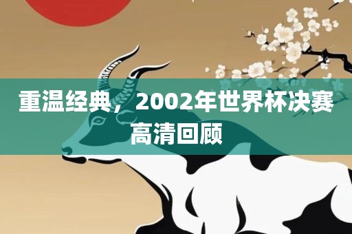 重温经典，2002年世界杯决赛高清回顾