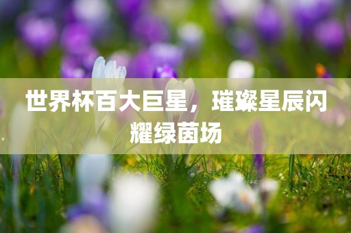世界杯百大巨星，璀璨星辰闪耀绿茵场