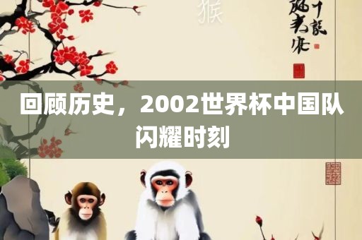 回顾历史，2002世界杯中国队闪耀时刻常熟市高丰毛纺织品有限公司