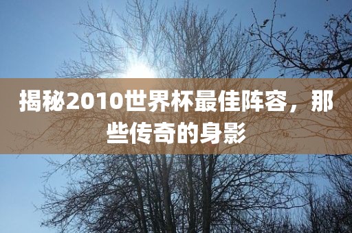 揭秘2010世界杯最佳阵容，那些传奇的身影
