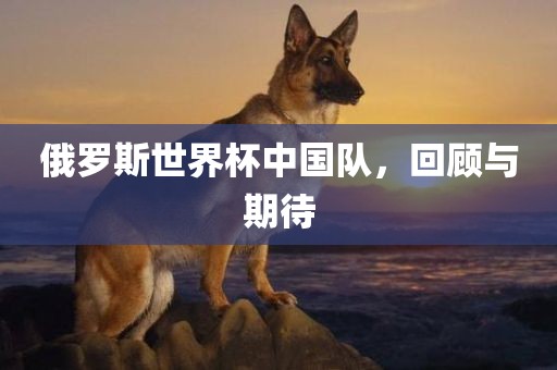 俄罗斯世界杯中国队，回顾与期待