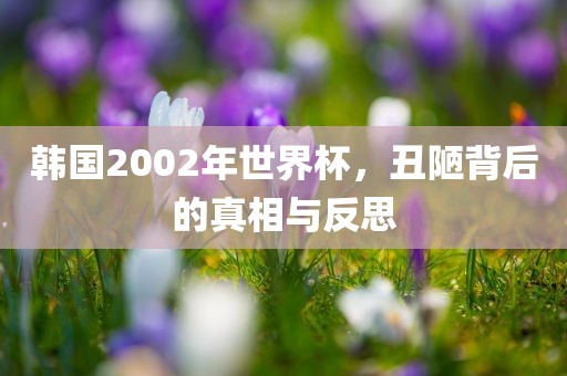 韩国2002年世界杯，丑陋背后的真相与反思