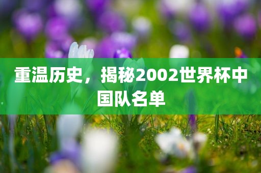 重温历史，揭秘2002世界杯中国队名单