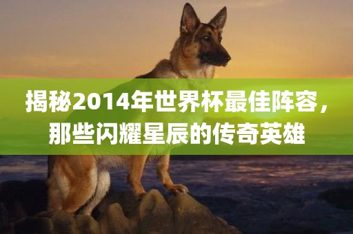 揭秘2014年世界杯最佳阵容，那些闪耀星辰的传奇英雄