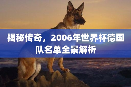 揭秘传奇，2006年世界杯德国队名单全景解析