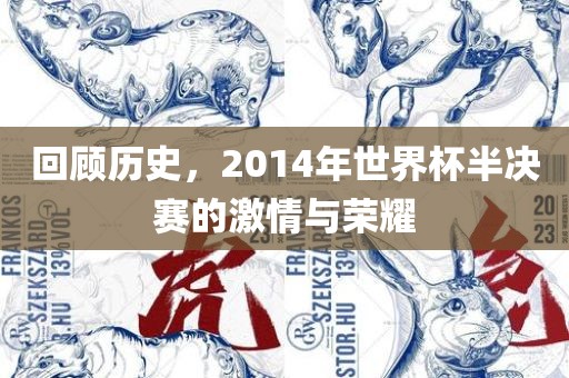 回顾历史，2014年世常熟市高丰毛纺织品有限公司界杯半决赛的激情与荣耀
