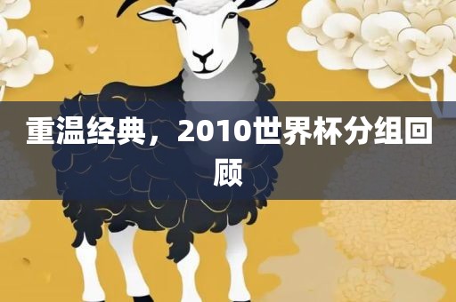 重温经典，2010世界杯分组回顾