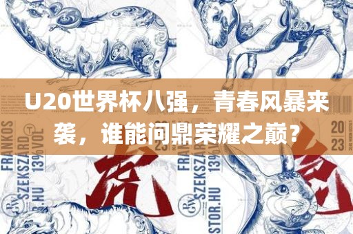 U20世界杯八强，青春风暴来袭，谁能问鼎荣耀之巅？