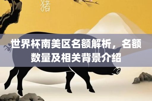 世界杯南美区名额解析，名额数量及相关背景介绍