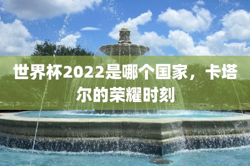 世界杯2022是哪个国家，卡塔尔的荣耀时刻常熟市高丰毛纺织品有限公司