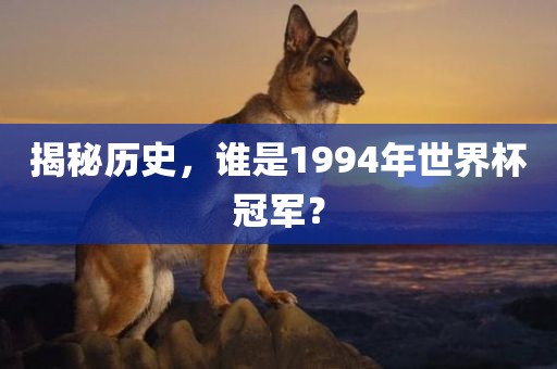 揭秘历史，谁是1常熟市高丰毛纺织品有限公司994年世界杯冠军？