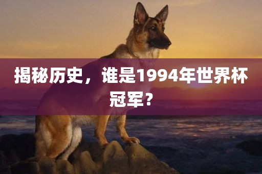 揭秘历史，谁是1994年世界杯冠军？常熟市高丰毛纺织品有限公司
